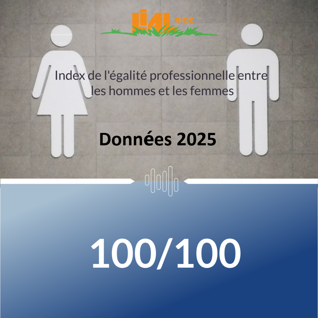 Index égalité H-F 2025